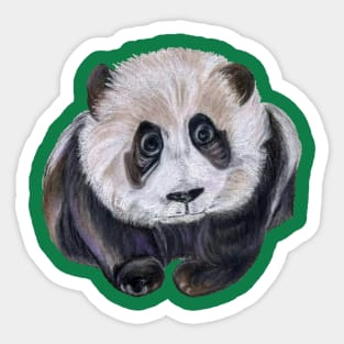 Panda Sticker